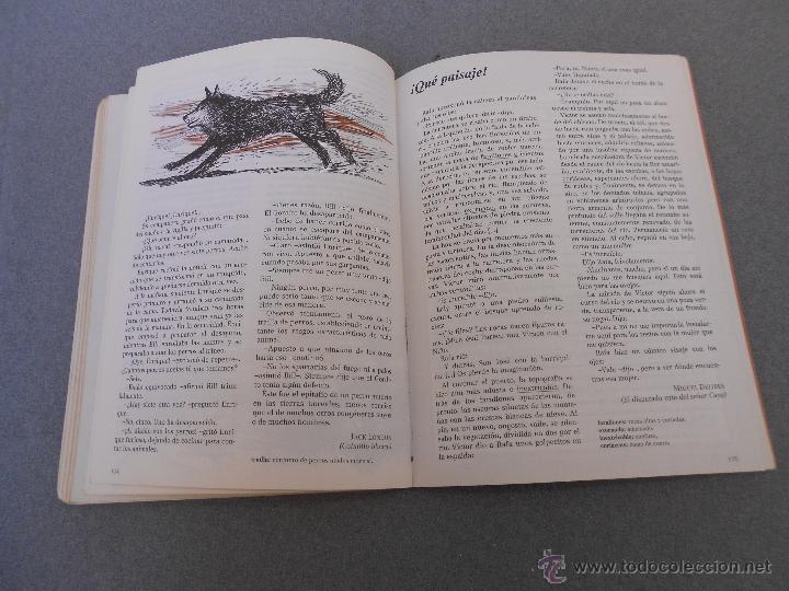 Libros de segunda mano: SENDA .LIBRO DE LECTURA 7. E.G.B. SANTILLANA - Foto 15