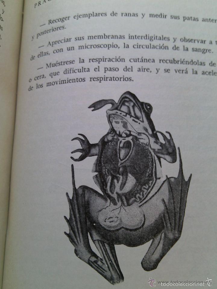 Libros de segunda mano: LAS COSAS Y LA VIDA. TOMAS ALVIRA. 1964 - Foto 2