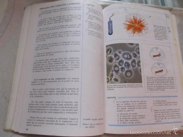 Libros de segunda mano: M69 LIBRO DE TEXTO 7 EGB E.G.B. DE ANAYA ESPORA NATURALES - Foto 2