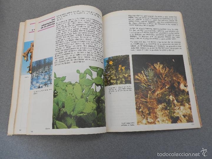 Libros de segunda mano: CIENCIAS NATURALES. 5&ordm; CURSO. E.G.G - Foto 5