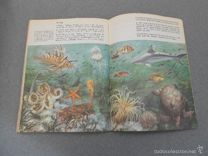 Libros de segunda mano: CIENCIAS NATURALES. 5&ordm; CURSO. E.G.G - Foto 6