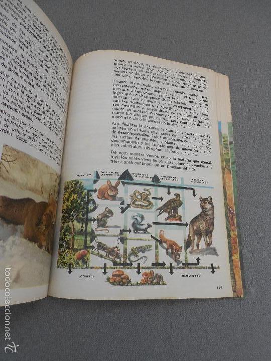 Libros de segunda mano: CIENCIAS NATURALES. 5&ordm; CURSO. E.G.G - Foto 9