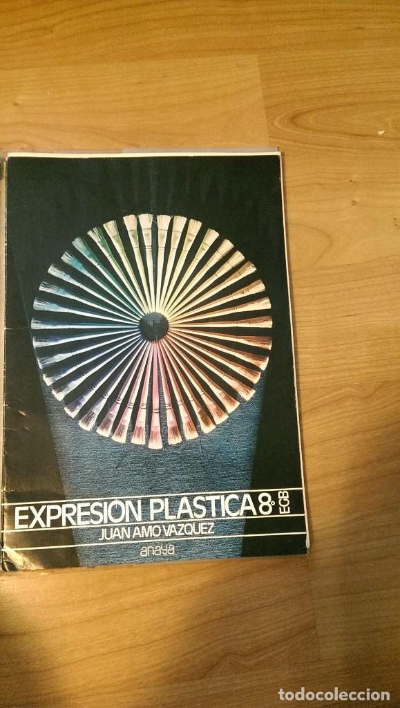 Libros de segunda mano: LIBRO &laquo;EXPRESI&Oacute;N PL&Aacute;STICA&raquo; 8&ordm; EGB ANAYA - Foto 1