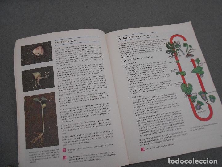 Libros de segunda mano: CIENCIAS DE LA NATURALEZA. 8&ordm; EGB. EDELVIVES. - Foto 3