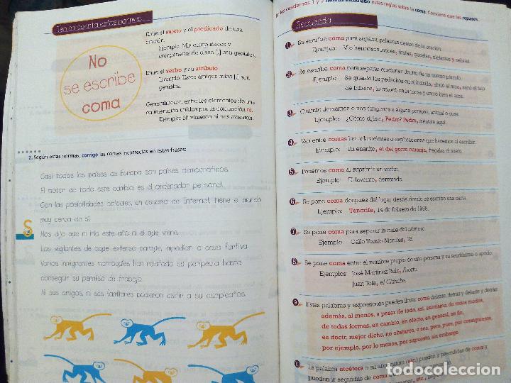 Libros de segunda mano: CUARTO CURSO ORTOGRAF&Iacute;A - EDITORIAL LA CALESA 2000. - Foto 5