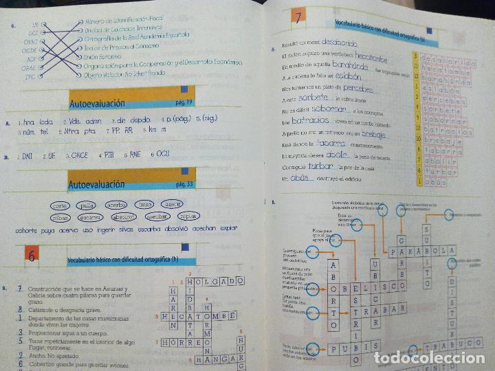 Libros de segunda mano: CUARTO CURSO ORTOGRAF&Iacute;A - EDITORIAL LA CALESA 2000. - Foto 6
