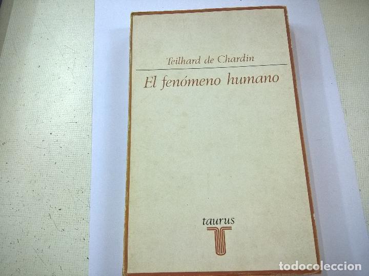 Libros de segunda mano: EL FENOMENO HUMANO-TEILHARD DE CHARDIN-TAURUS- F7
