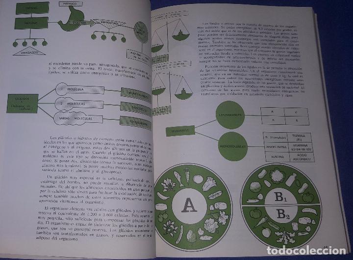 Libros de segunda mano: Industrias de la alimentaci&oacute;n - Ediciones Didascalia (1978) &iexcl;Impecable! - Foto 4