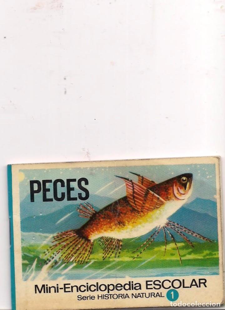 Gebrauchte B&uuml;cher: Mini.Enciclopedia Escolar PECES n&ordm; 1
