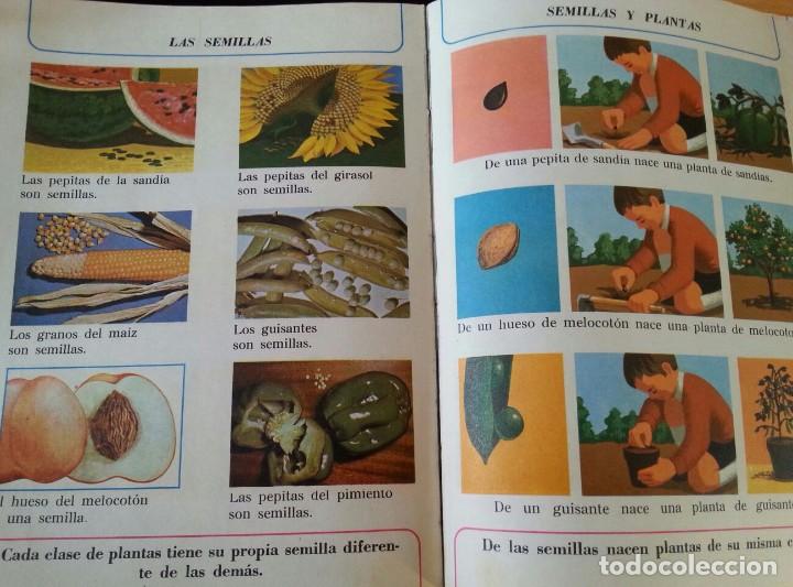 Libros de segunda mano: Libro de texto de Primero de EGB. A&ntilde;o 1971. El Libro de la ciencia. Anaya - Foto 2