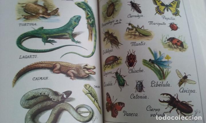 Libros de segunda mano: LIBRO/DICCIONARIO EVEREST VERTICE ESPA&Ntilde;OL/NUEVO&iexcl;&iexcl;&iexcl;&iexcl;&iexcl;. - Foto 2