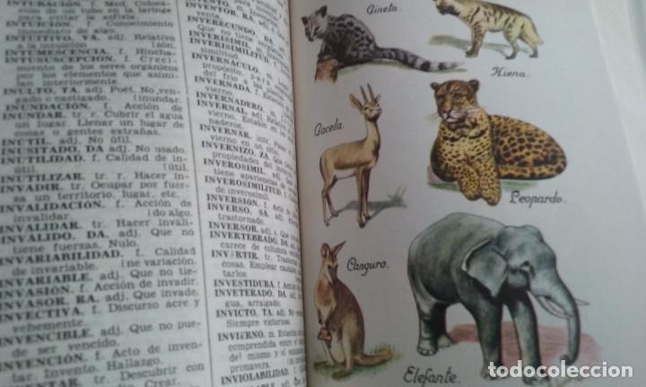 Libros de segunda mano: LIBRO/DICCIONARIO EVEREST VERTICE ESPA&Ntilde;OL/NUEVO&iexcl;&iexcl;&iexcl;&iexcl;&iexcl;. - Foto 3