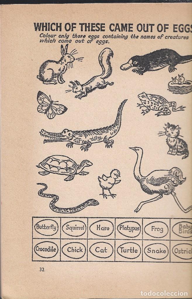 Libros de segunda mano: EASY READER BOOK 4 - ENID BLYTON - READ, PLAY AND LEARN - COLLINS -1965. - Foto 4