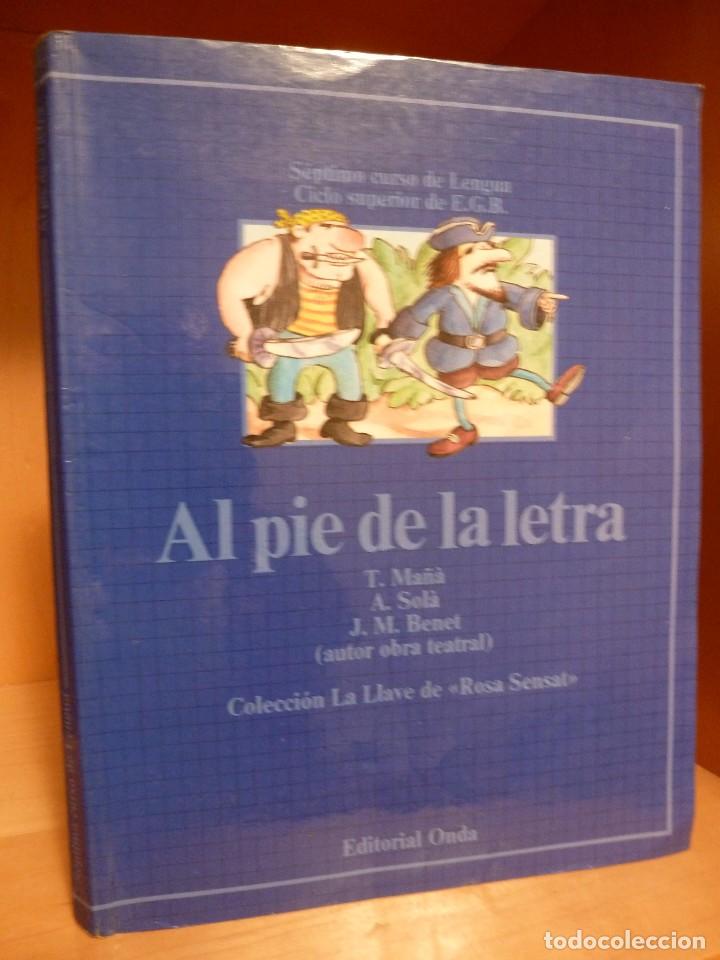 Libros de segunda mano: AL PIE DE LA LETRA. LENGUA 7&ordm; EGB. EDITORIAL ONDA - Foto 1