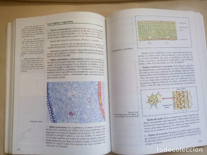 Libros de segunda mano: CIENCIAS NATURALES, 1&ordm; BUP, ED. ALHAMBRA - Foto 3