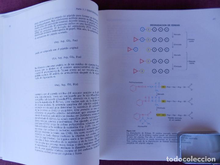 Libros de segunda mano: BIOQUIMICA, (L. STRYER), REVERTE 1976 - Foto 2