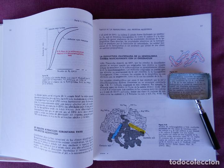 Libros de segunda mano: BIOQUIMICA, (L. STRYER), REVERTE 1976 - Foto 4