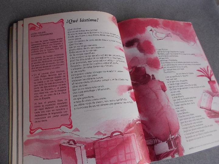 Libros de segunda mano: SENDA SEPTIMO CURSO E.G.B SANTILLANA - Foto 5