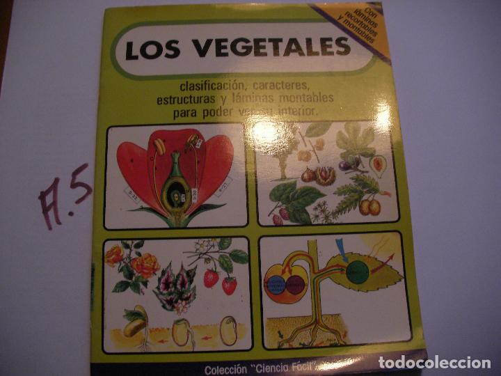 Libros de segunda mano: ANTIGUO LIBRO CIENCIA FACIL - LOS VEGETALES - Foto 1