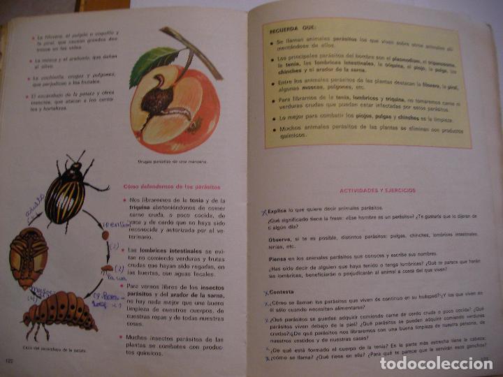 Libros de segunda mano: ANTIGUO LIBRO DE TEXTO - OBSERVO Y EXPERIMENTO 5 EGB EDELVIVES - Foto 2