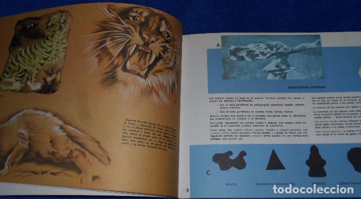 Libros de segunda mano: Expresi&oacute;n Pl&aacute;stica - 7&ordm; EGB - Ediciones SM (1979) - Foto 6
