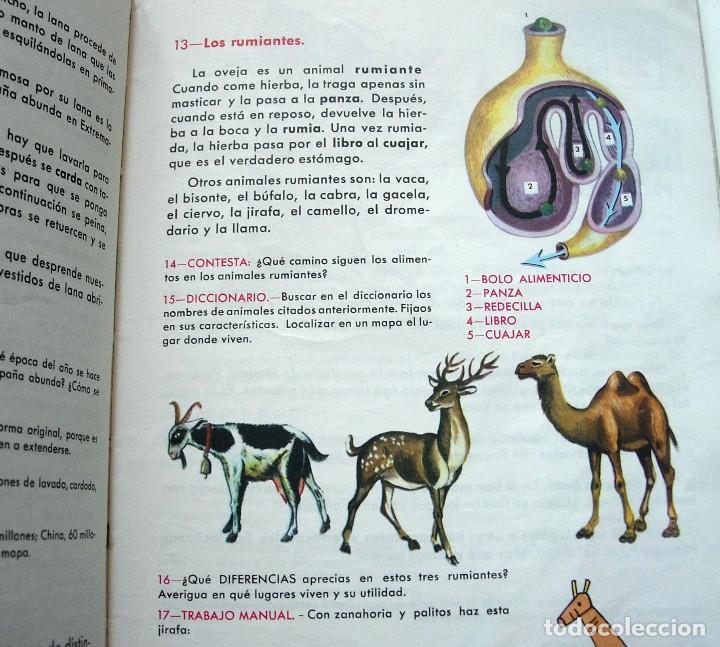 Libros de segunda mano: Libro de texto - UNIDADES DID&Aacute;CTICAS ALVAREZ 3&ordm; CURSO EDIT. MI&Ntilde;ON 1966 - Foto 3