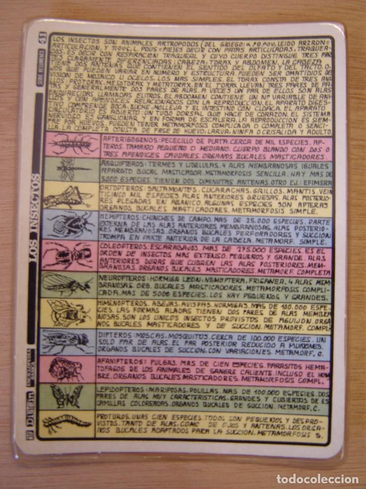 Libros de segunda mano: Ficha de Los insectos n&ordm; 41 - Distein 1.970 - Foto 1