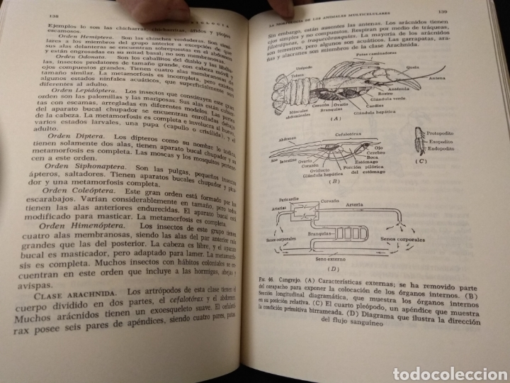 Libros de segunda mano: Biolog&iacute;a. Gordon Alexander. Serie compendios cient&iacute;ficos. 1969 - Foto 3