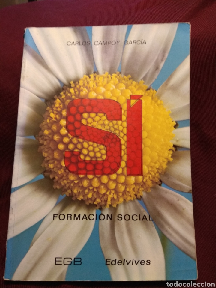 Libros de segunda mano: Formaci&oacute;n social. EGB Edelvives 1973 - Foto 1