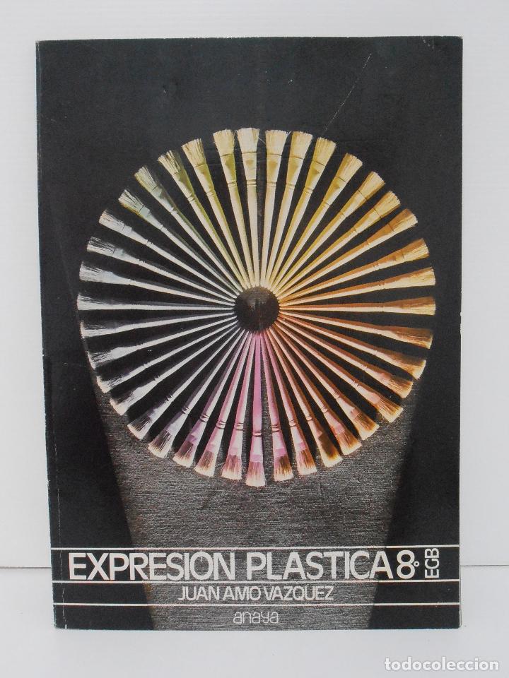 Libros de segunda mano: LIBRO EXPRESION PLASTICA 8&ordm; EGB, JUAN AMO VAZQUEZ, ANAYA - Foto 1