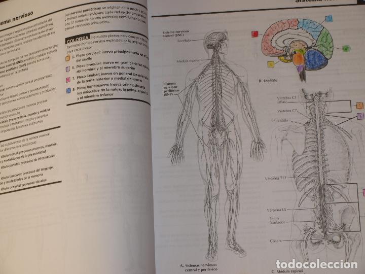 Cuaderno De Anatomia Para Colorear Netter John Comprar Libros