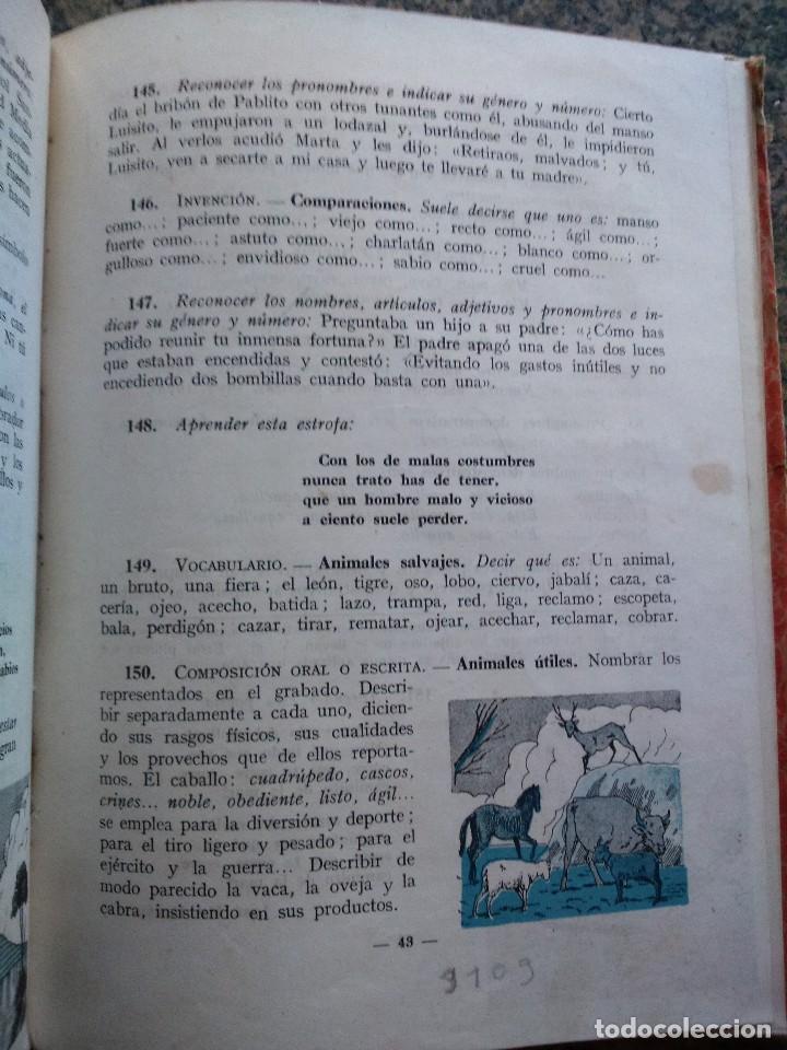 Libros de segunda mano: GRAMATICA ESPA&Ntilde;OLA -- PRIMER GRADO - EDELVIVES 1950 -- - Foto 2