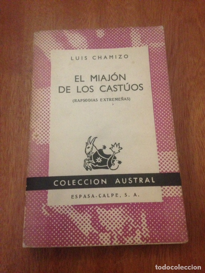 Libros de segunda mano: EL MIAJON DE LOS CASTUOS - Luis Chamizo - Foto 1