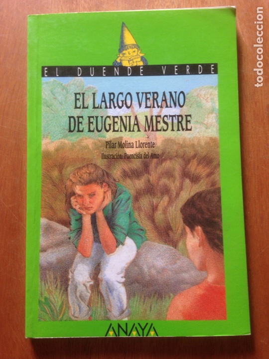 Libros de segunda mano: EL LARGO VERANO DE EUGENIA MESTRE - Foto 1