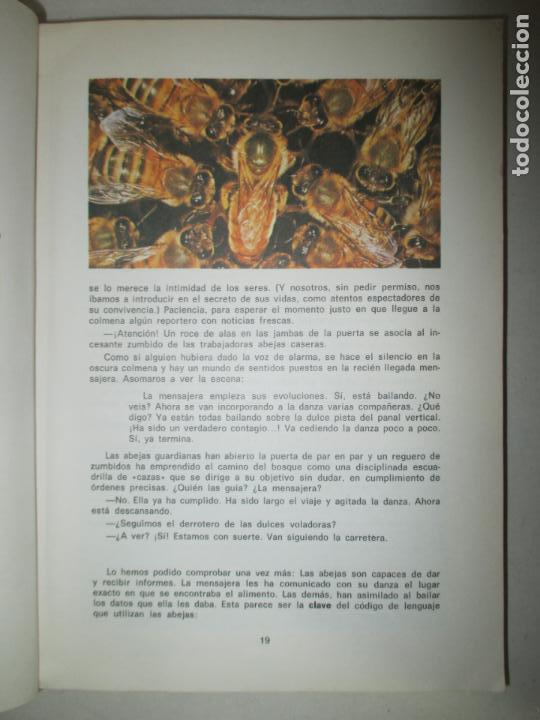 Libros de segunda mano: LENGUAJE 7&ordm; E.G.B. S.M. MANUEL RAMIRO VALDERRAMA. 1973 - Foto 3
