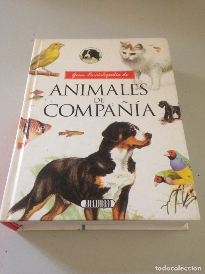 Libros de segunda mano: ANIMALES DE COMPA&Ntilde;&Iacute;A - Foto 1