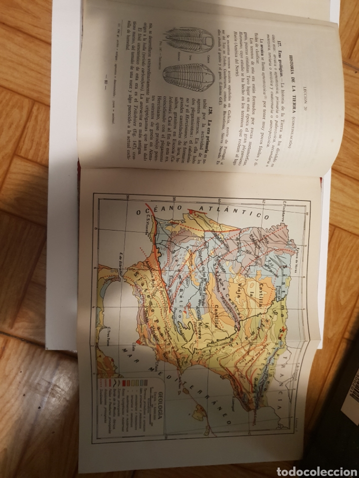 Libros de segunda mano: Ciencias Naturales. Segundo curso - Foto 4