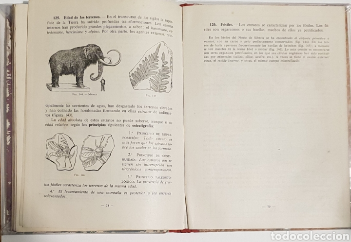 Libros de segunda mano: Ciencias Naturales. Segundo curso - Foto 3