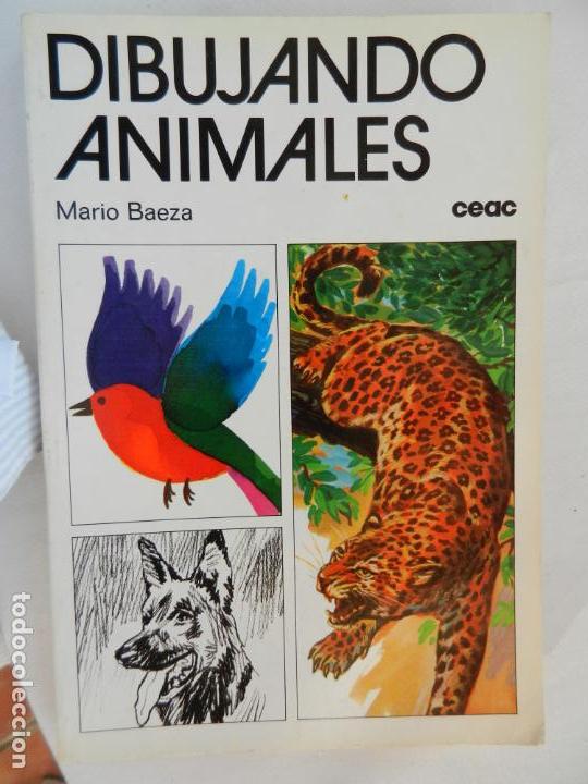 Libros de segunda mano: DIBUJANDO ANIMALES - MARIO BAEZA - CEAC - 1981. - Foto 1