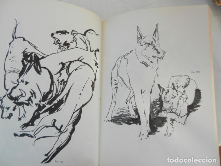 Libros de segunda mano: DIBUJANDO ANIMALES - MARIO BAEZA - CEAC - 1981. - Foto 2