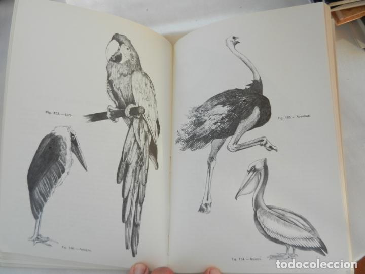 Libros de segunda mano: DIBUJANDO ANIMALES - MARIO BAEZA - CEAC - 1981. - Foto 3