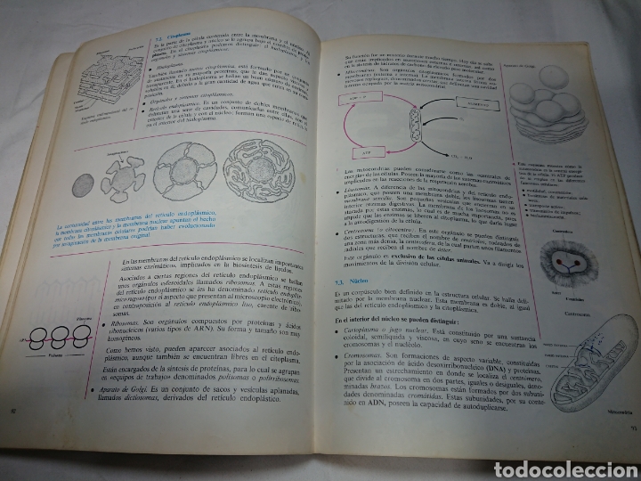 Libros de segunda mano: Biolog&iacute;a, Editorial Bru&ntilde;o, Plan 1975 - Foto 3