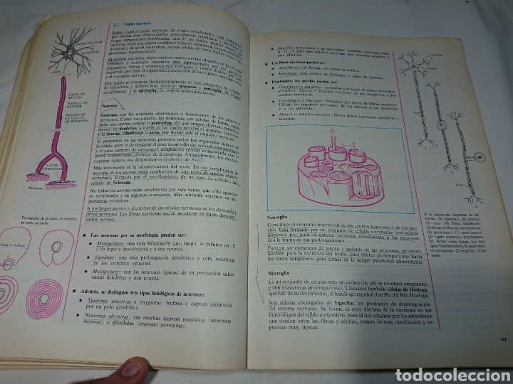 Libros de segunda mano: Biolog&iacute;a, Editorial Bru&ntilde;o, Plan 1975 - Foto 4