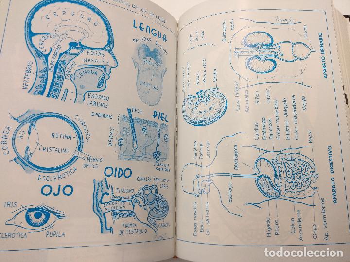 Libros de segunda mano: DICCIONARIO EVEREST CUSPIDE/NUEVO&iexcl;&iexcl;&iexcl;&iexcl;&iexcl; - Foto 4