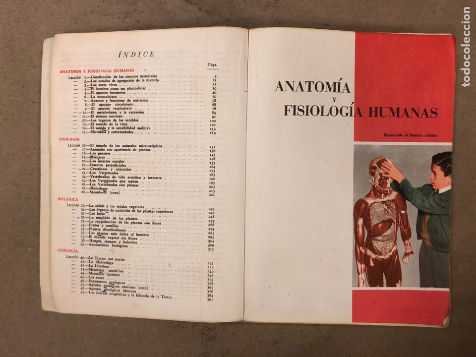 Libros de segunda mano: CIENCIAS NATURALES 3&ordm; BACHILLERATO ELEMENTAL. EDICIONES SM 1964. - Foto 3