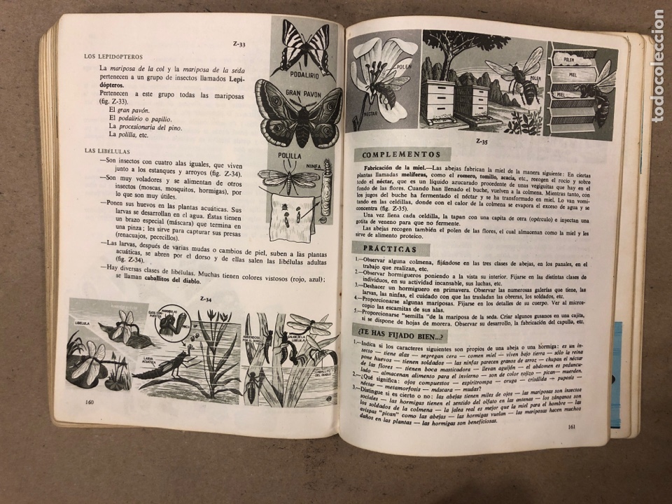 Libros de segunda mano: CIENCIAS NATURALES 3&ordm; BACHILLERATO ELEMENTAL. EDICIONES SM 1964. - Foto 7