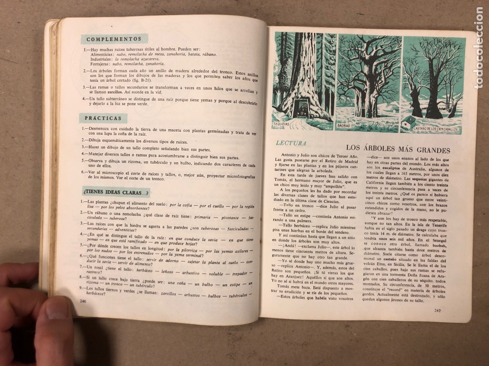 Libros de segunda mano: CIENCIAS NATURALES 3&ordm; BACHILLERATO ELEMENTAL. EDICIONES SM 1964. - Foto 10
