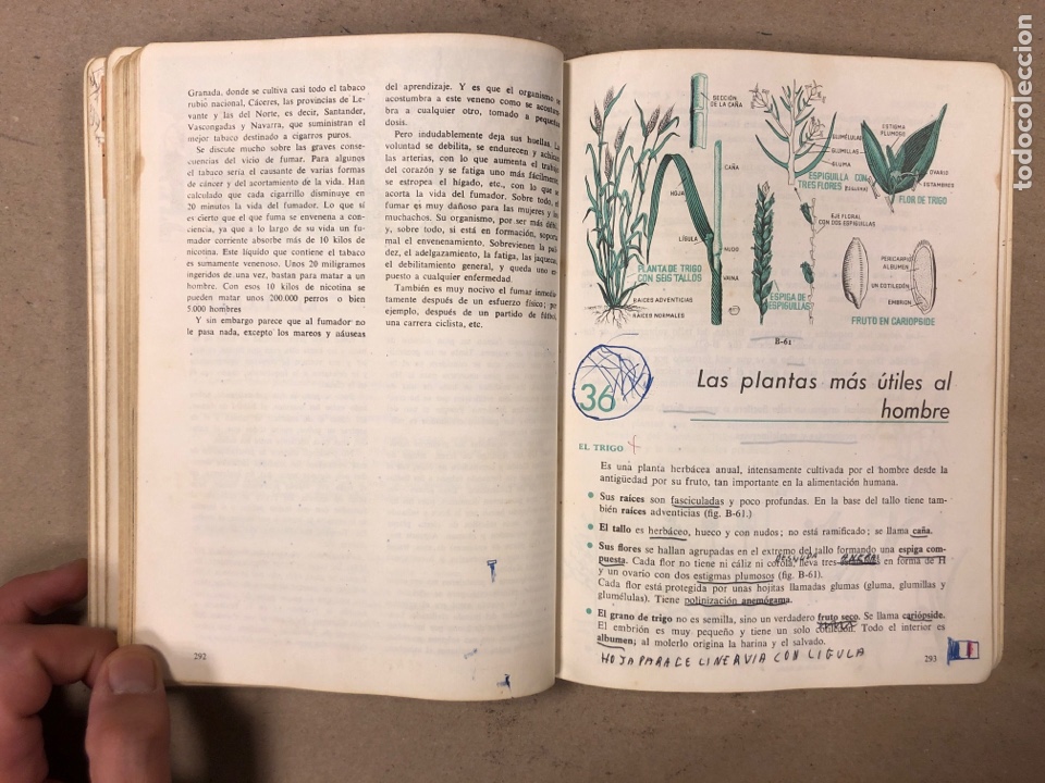 Libros de segunda mano: CIENCIAS NATURALES 3&ordm; BACHILLERATO ELEMENTAL. EDICIONES SM 1964. - Foto 11