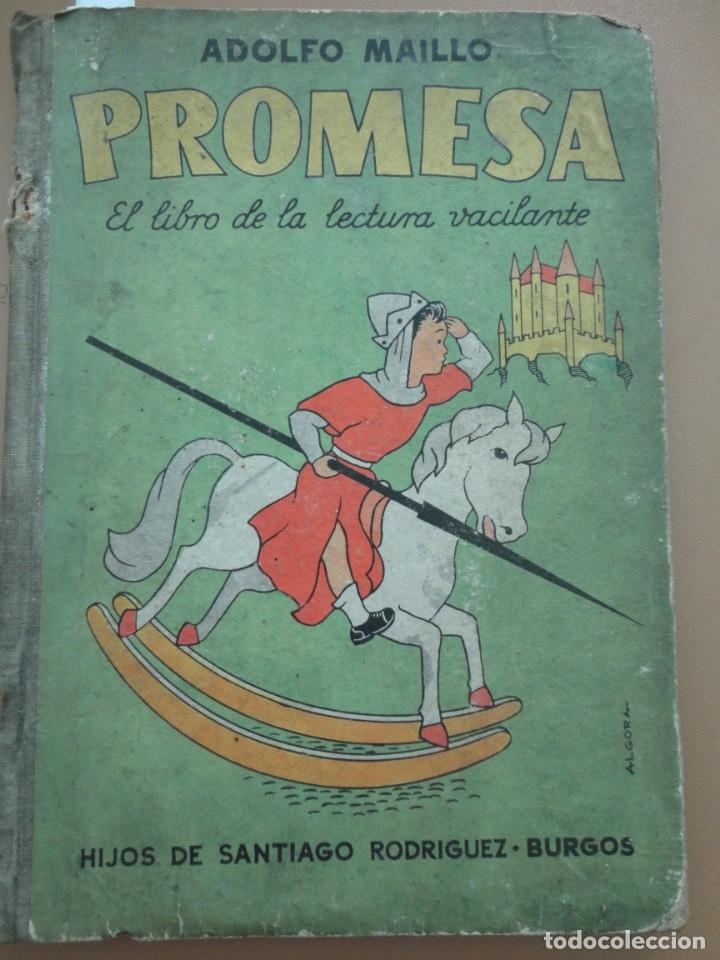 Libros de segunda mano: PROMESA . EL LIBRO DE LA LECTURA VACILANTE - - Foto 1