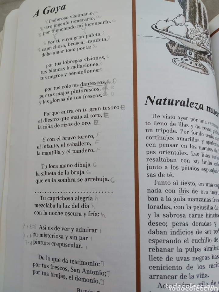 Libros de segunda mano: Libro de texto SENDA 6. LIBRO DE LECTURA EGB. Santillana - Foto 3